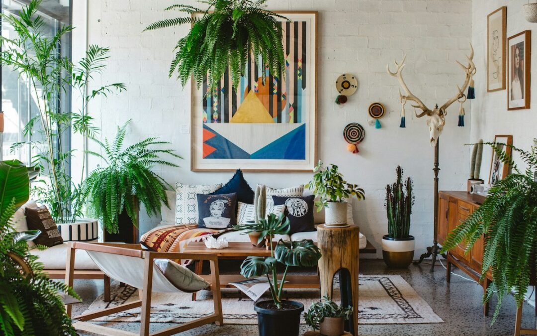 Enhance Your Space – Best Plants for San Antonio Home Interiors